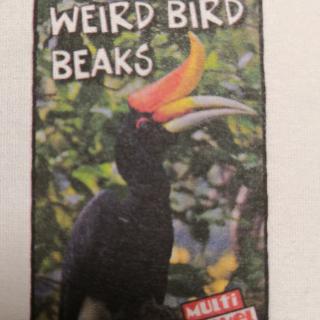 Weird Bird Beaks
