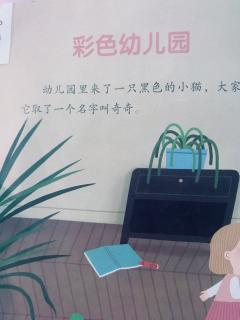 泗洪县幼儿园大二班王馨月《彩色幼儿园》