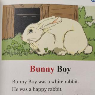 Alina-Bunny Boy