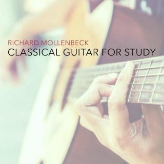 [放松吉他曲] Richard Mollenbeck - Air on a G String