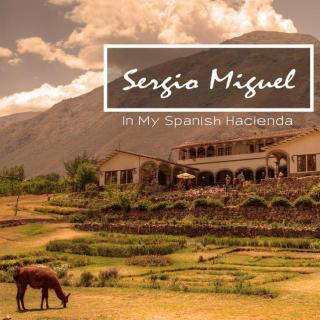 [放松吉他曲] Sergio Miguel - In My Spanish Hacienda