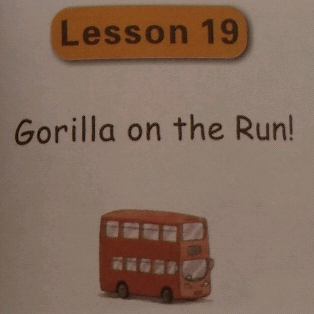 L19 Gorilla on the run