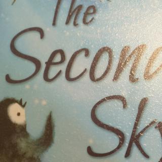 The Seconds Sky