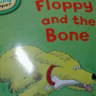 floppy and the bone