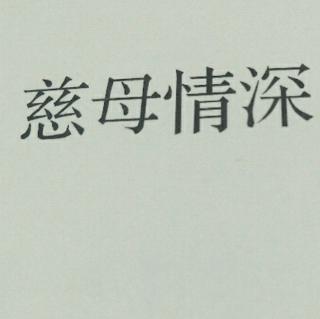 刘丹丹     《慈母情深》