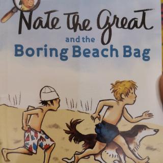 Nate The Great beach bag