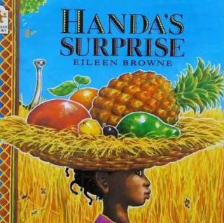 HANDA’S SURPRISE