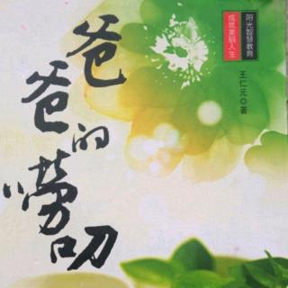 《爸爸的唠叨》7.05美国儿童人生第一课