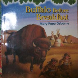 Buffalo Before Breakfast(10)