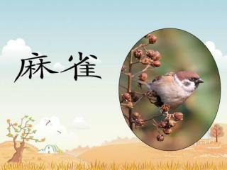 16.麻雀（背诵）