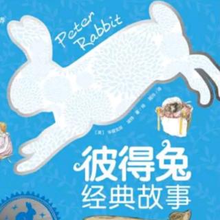 中三班王潇苒11月阅读14…弗洛普西家的小兔子的故事