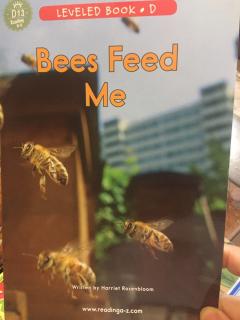 Bee Feed me