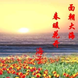 《面朝大海春暖花开》