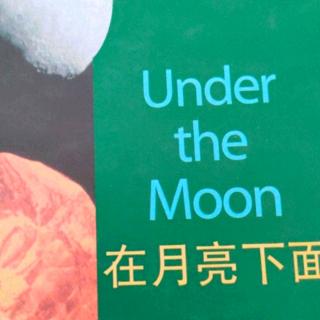 Under the moon-14