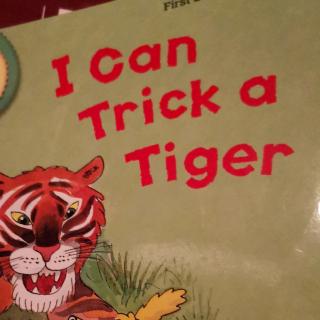 I can trick tiger1