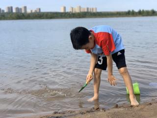 蟋蟀问题回答（三）