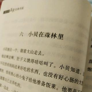 小贝流浪记——六小贝在森林里