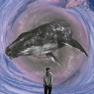 尚士达 - 鲸鱼