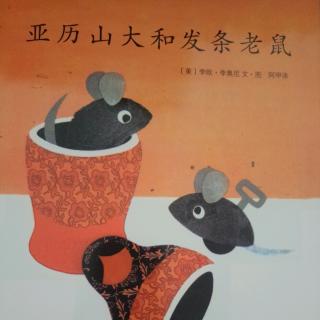 亚历山大和发条老鼠🐭