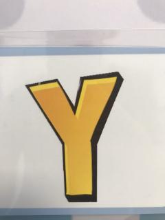 Y