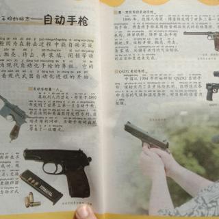 百大超级武器4-自动手枪