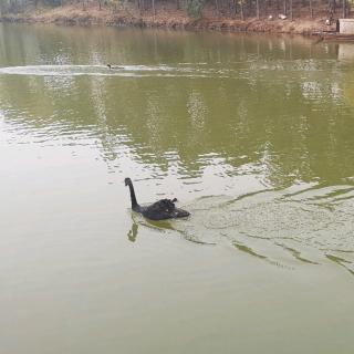 小学重习惯   初中重态度   高中重能力