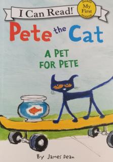12 A Pet for Pete 会话练习