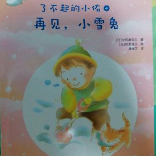 再见，小雪兔