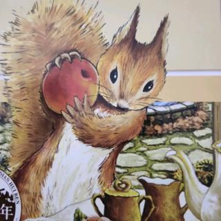 小松鼠藏坚果的故事