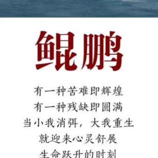 11月17日录制：明心净心两大功夫