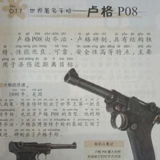 百大超级武器11-卢格P08