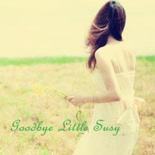 ☆北极星ゞ 班得瑞典藏6.心灵音乐 《日光海岸》14.Goodbye Little Susy