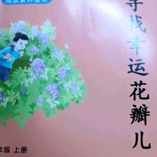 《寻找幸运花瓣儿》