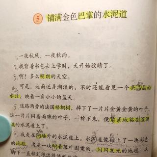 三年级语文5 铺满金色巴掌的水泥道