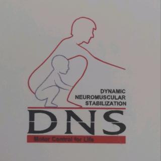 DNS 动态神经肌肉稳定技术 儿科1 部分笔记分享