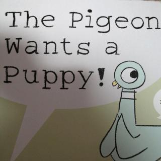 The Pigeon Wants a Puppy!