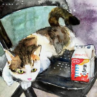 Vol.12 吐槽奇葩第六季 最讨厌ta 精致穷 猫与名画？