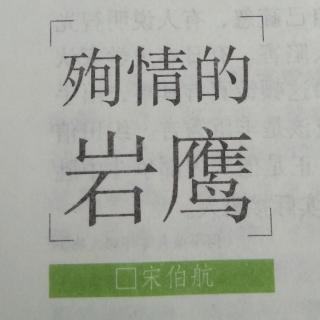 殉情的岩鹰