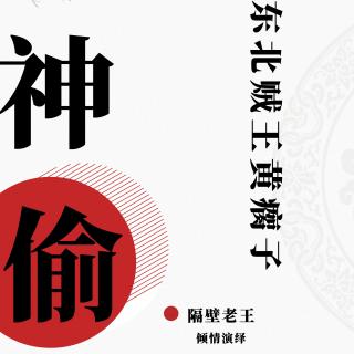 东北贼王神偷黄瘸子第8集