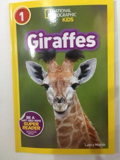 Nov19 Sissi14 giraffes2