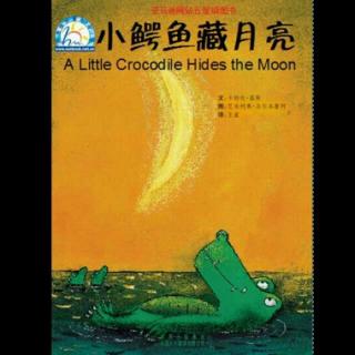 小鳄鱼藏月亮
