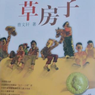 王竞雪读《草房子》