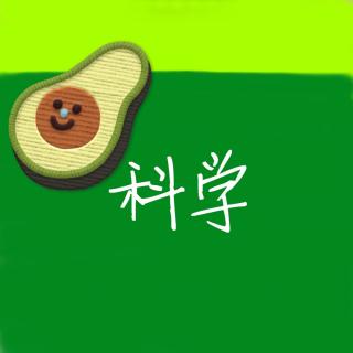 西交康桥科学六年级上册知识点🥑