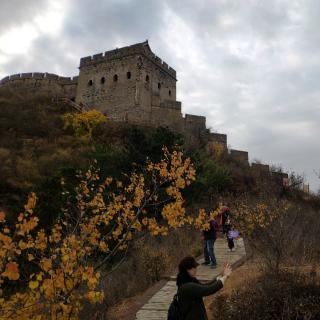 《腊子口游记》文/李国红 诵/雪花飘飘