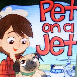 Pet    and    Jet