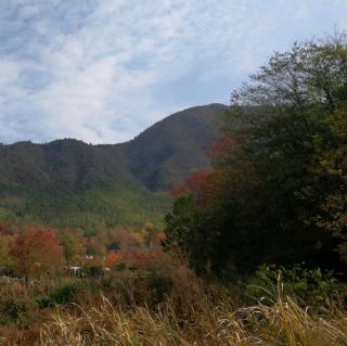 水口营村宣传片