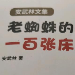 安武林文集老蜘蛛的100张床（1）开往快乐谷的地铁