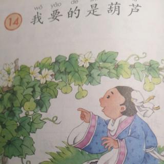 我要的是葫芦