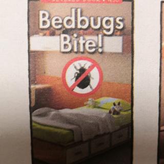 Bedbugs Bite