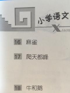 词语手册16-17